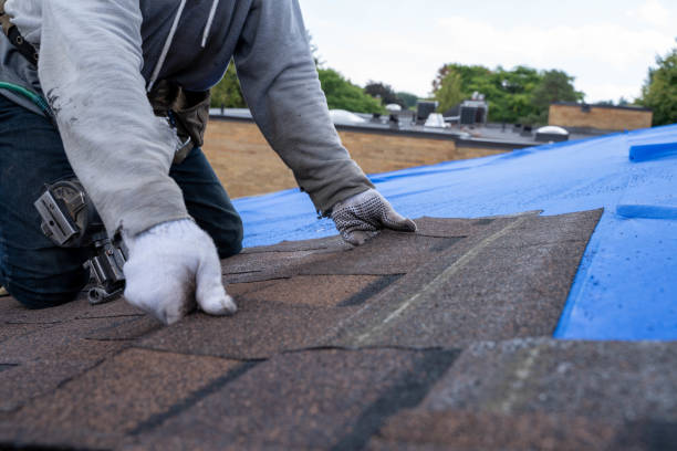 Roof Coating Services in Orchidlands Estates, HI